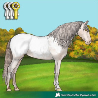 Horse Color:Amber Champagne Snowcap 