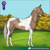 Horse Color:Silver Brown Dun Tobiano