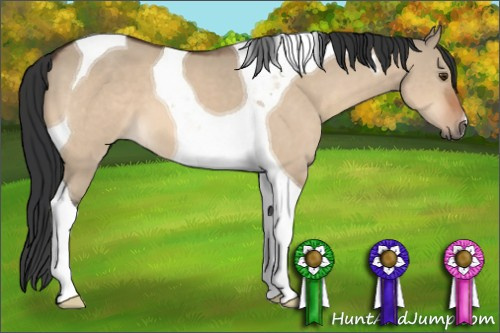 Horse Color:Brown Dun Tobiano 