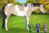 Horse Color:Brown Dun Tobiano 