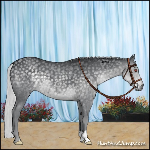 Horse Color:Silver Black Chinchilla