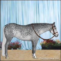 Horse Color:Silver Black Chinchilla