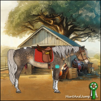 Horse Color:Silver Smoky Black Tobiano 