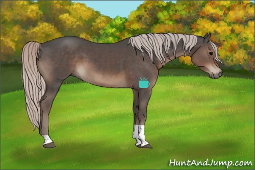 Horse Color:Silver Black Tobiano