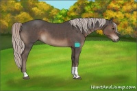 Horse Color:Silver Black Tobiano