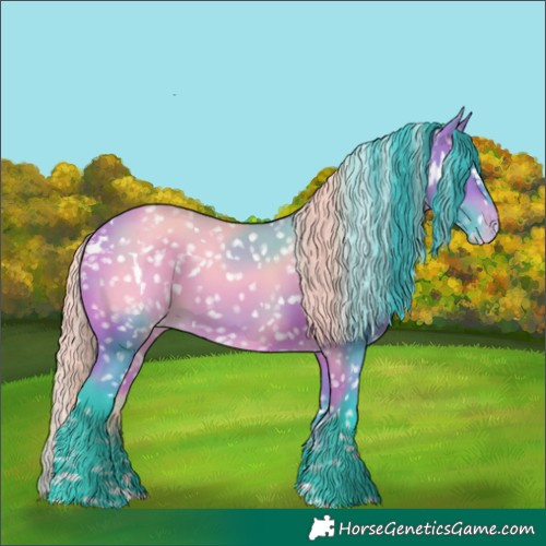 Horse Color:Watercolor White Spotted Bay Appaloosa 