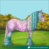 Horse Color:Watercolor White Spotted Bay Appaloosa 