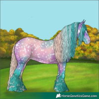 Horse Color:Watercolor White Spotted Bay Appaloosa 