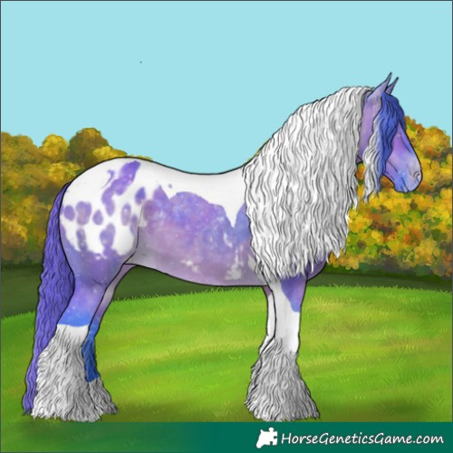 Horse Color:Watercolor Brown Dun Tobiano Blanket 