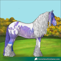 Horse Color:Watercolor Brown Dun Tobiano Blanket 