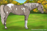 Horse Color:White Spotted Silver Grullo Tobiano Snowcap Brindle 