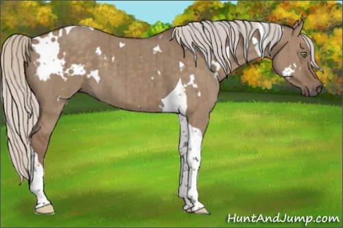 Horse Color:White Spotted Silver Grullo Tobiano Brindle 