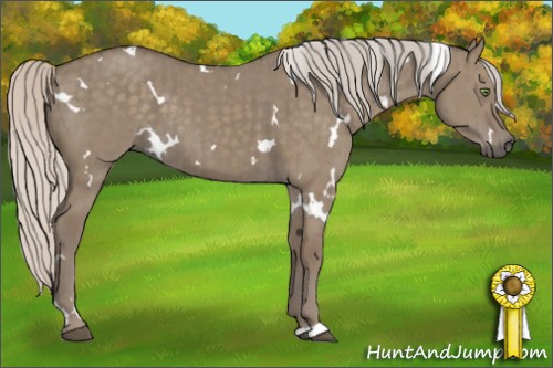 Horse Color:White Spotted Silver Grullo Brindle