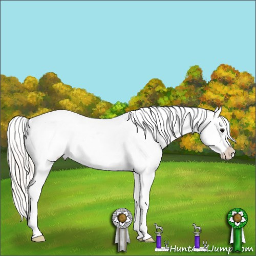 Horse Color:White Spotted Silver Grullo Tobiano Appaloosa 