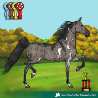 Horse Color:White Spotted Grullo Brindle 