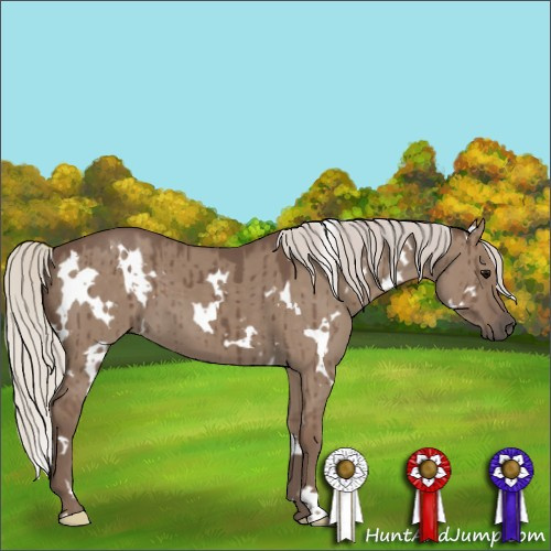 Horse Color:White Spotted Silver Grullo Brindle