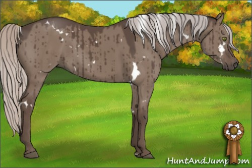Horse Color:White Spotted Silver Grullo Brindle 