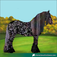 Horse Color:Void Nacre Watercolor White Spotted Silver Brown Pearl Dun Tobiano Snowflake Varnish 