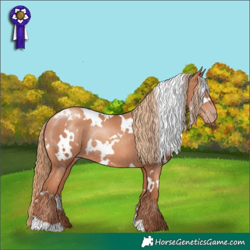 Horse Color:White Spotted Gold Champagne Rabicano 