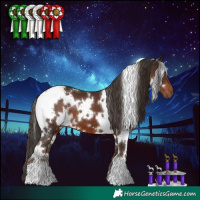 Horse Color:White Spotted Liver Chestnut 