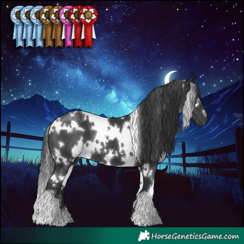 Horse Color:White Spotted Black 