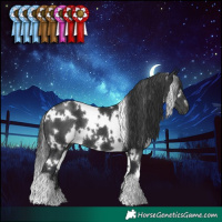 Horse Color:White Spotted Black