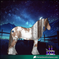 Horse Color:White Spotted Classic Champagne Rabicano 