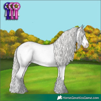 Horse Color:Silver Blue Roan Splash Frame Snowcap 