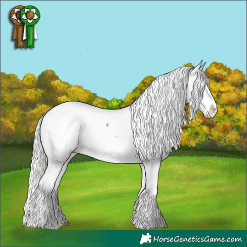 Horse Color:Silver Blue Roan Splash Snowcap