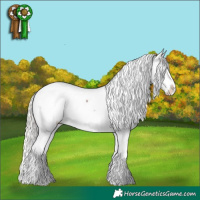 Horse Color:Silver Blue Roan Splash Snowcap 