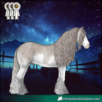 Horse Color:Silver Grullo Roan Splash 