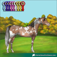 Horse Color:White Spotted Sable Champagne Rabicano 