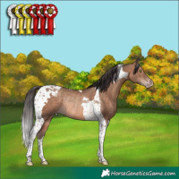 Horse Color:Sable Champagne Tobiano Rabicano
