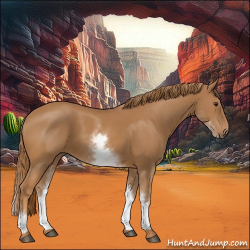 Horse Color:White Spotted Chestnut 