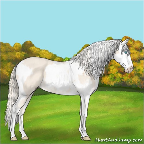 Horse Color:Cremello Sabino  and Palomino Sabino 