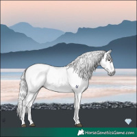 Horse Color:Gray Platinum Chocolate Silver Buckskin Ice Roan 