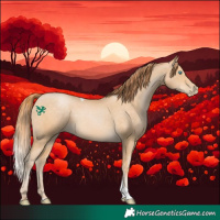 Horse Color:Buckskin Pearl Sabino Tobiano 
