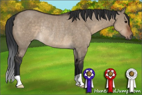 Horse Color:Brown Dun Rabicano