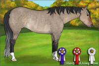 Horse Color:Brown Dun Rabicano 