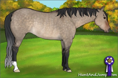 Horse Color:Brown Dun Rabicano