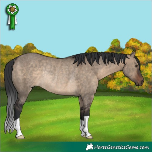 Horse Color:Brown Dun Rabicano 