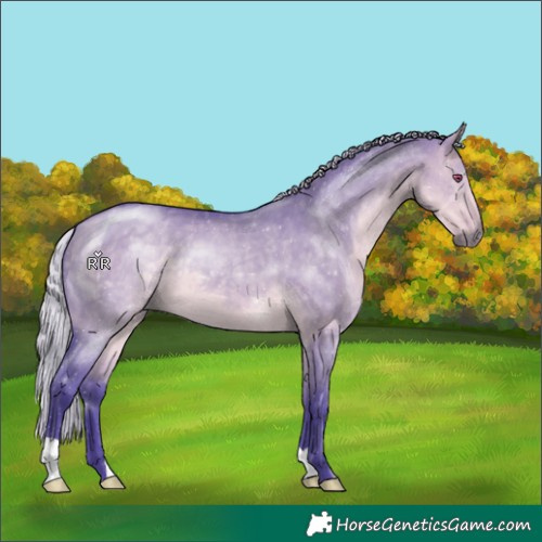 Horse Color:Watercolor Silver Buckskin Chinchilla Dun 