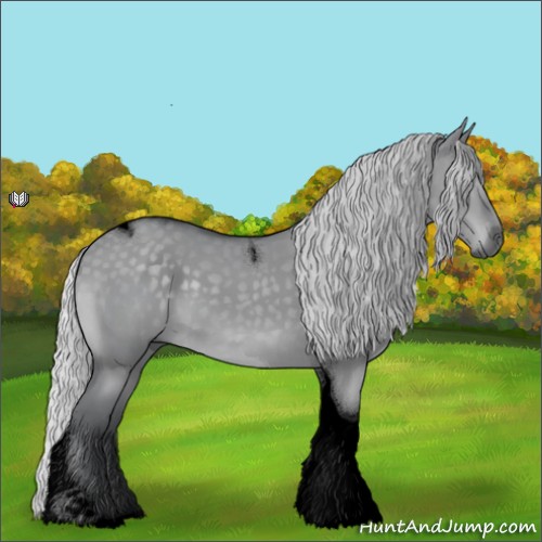Horse Color:Void Silver Grullo Chinchilla Tobiano