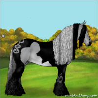 Horse Color:Void Silver Grullo Chinchilla Tobiano