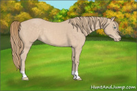 Horse Color:Perlino 