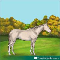 Horse Color:Perlino 