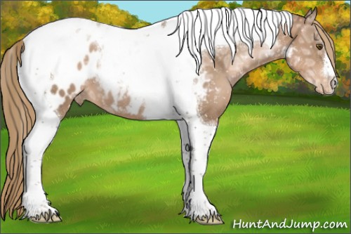 Horse Color:Liver Chestnut Ice Pearl Tobiano Appaloosa 