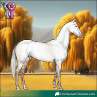Horse Color:Gray Silver Classic Champagne Dun