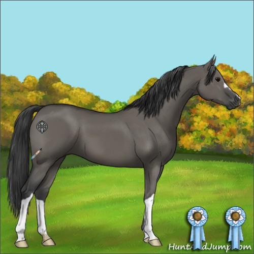 Horse Color:Grullo
