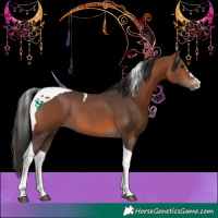 Horse Color:Bay Tobiano Rabicano 